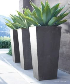 two large planters sitting on top of a sidewalk