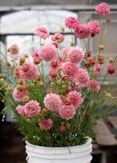 a white vase filled with pink flowers on top of a table