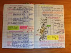 an open medical notebook with notes about the human body and its major functions on it