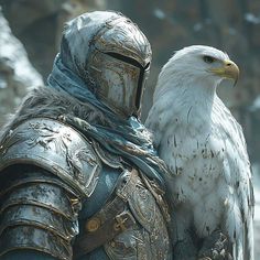 a white bird sitting on the arm of a man in armor