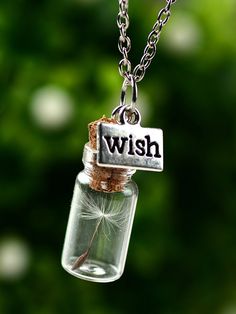 a dandelion seed in a glass bottle with the word wish written on it