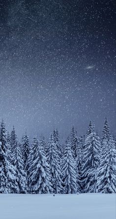 the night sky is full of stars and snow as trees stand in the foreground