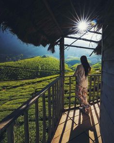 a woman is standing on a porch looking at the tea fields in the distance with her back to the camera