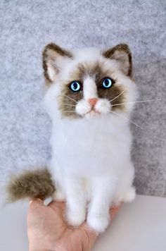 a white cat with blue eyes sitting on top of a person's hand,