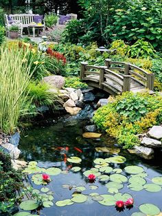 a pond with water lilies and a bridge in the middle is surrounded by greenery