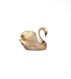 a watercolor painting of a swan on a white background