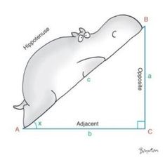 a drawing of a whale laying on top of a pillow with the measurements below it