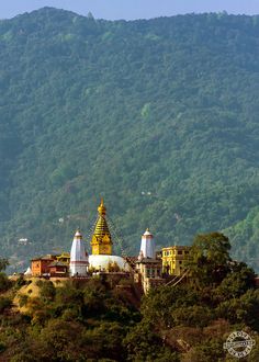 a yellow and white building sitting on top of a lush green hillside covered in trees