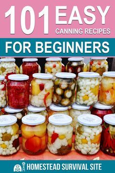 the cover of 101 easy canning recipes for beginners, with jars full of pickled vegetables