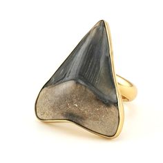 Alchemía Fossil Shark Tooth Ring Shark Tooth Ring, Sharks Tooth, Tooth Jewelry, Tooth Ring, Fossil Teeth, Teeth Jewelry, Fossil Jewelry, Shark Tooth, Shark Teeth