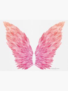 pink and orange wings on a white background