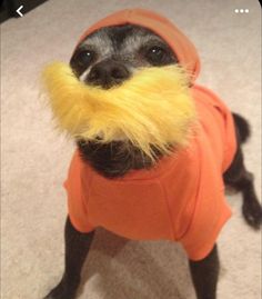 a small dog in an orange shirt with a fake moustache on it's face