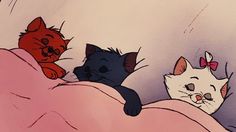 three cats laying in bed with the caption happy dreams, my loves