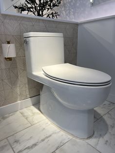 a white toilet sitting in a bathroom next to a plant