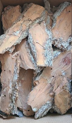 a cardboard box filled with wood chips