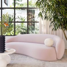 a living room filled with furniture next to a large window and a potted plant