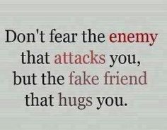 the words don't fear the enemy that attacks you, but the fake friend that hugs you