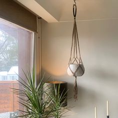 a potted plant hanging from the ceiling next to a window with a lamp on it