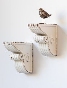 two white wall brackets with a bird perched on top of one and the other end