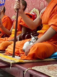 some monks are sitting down and one is holding a cat