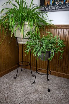 two potted plants sitting on top of a metal stand