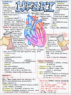 a drawing of the human heart with words and pictures on it, including handwritten notes