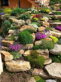 a garden with rocks and flowers in front of a house