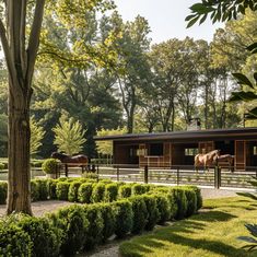 two horses are standing in the fenced off area next to each other, with trees and shrubs surrounding them