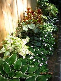 many different types of plants growing on the side of a fenced in garden area