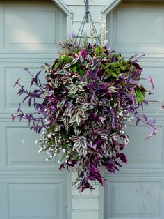 purple flowers hanging from the side of a garage door