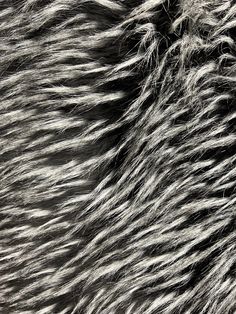 the fur is black and white with some grey streaks on it's surface,