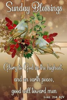 a christmas card with two birds sitting on top of holly branches and the words sunday blessing glory to god in the highest, and on earth peace, good will toward men