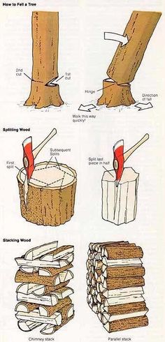 several different types of wood being used to make furniture and decorating items, including tree stumps