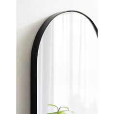 a mirror hanging on the wall with a plant in it