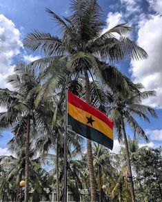 a flag on a pole in front of palm trees