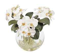 white orchids are in a clear glass vase with green leaves and water on a white background