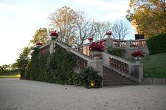 the stairs are covered with plants and potted flowers