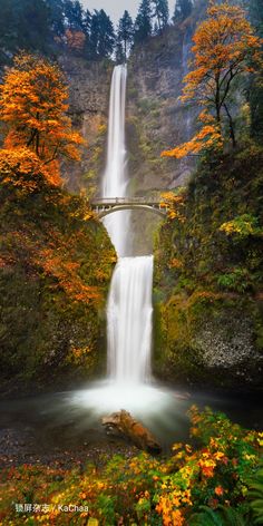 a waterfall with a bridge over it and fall foliage around it in the foreground