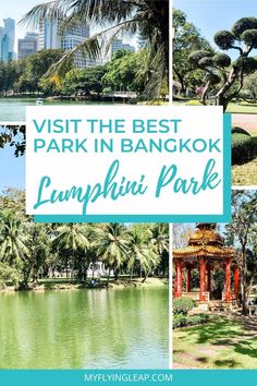 the park in bangkok with text overlay reading visit the best park in bangkok lumpini park