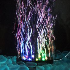 an aquarium filled with lots of different types of seaweed and other colorful lights in the water