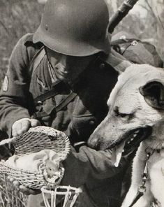 a dog sitting next to a soldier holding a basket