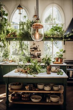 a kitchen with lots of plants on the counter and potted plants hanging from the ceiling