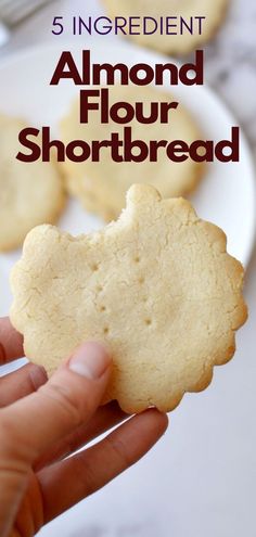 almond flour shortbread Almond Flour Shortbread Cookies, Almond Flour Shortbread, Gluten Free Almond Cookies, Almond Flour Recipes Cookies, Gluten Free Shortbread Cookies, Cookies Sans Gluten, Glutenfri Baking, Gluten Free Shortbread, Almond Flour Cookies