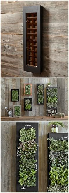 the vertical garden wall is made out of wood and metal