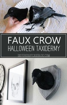 a paper plate with two black birds on it and the words faux crow halloween taxidermy