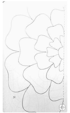 a drawing of a large flower with leaves in the middle and one side drawn on paper