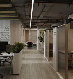 an open office with white partitions and plants in the center, along with two desks on either side