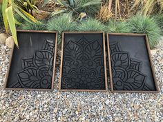 three black trays sitting on top of a gravel covered ground next to plants and rocks