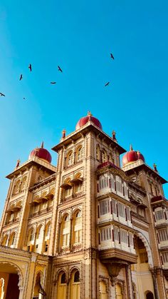 birds are flying in the blue sky above an old building with many windows and balconies