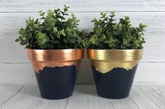 two gold and black pots with plants in them on a white wooden surface, one has green leaves